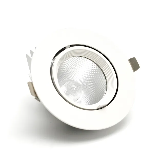 2026 China Recessed Gimbal LED Down Light 20W Anti-Glare Design