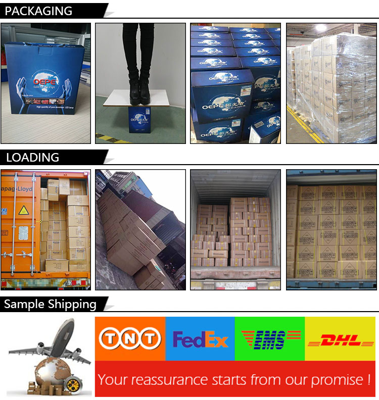 Packaging and Shipping Details