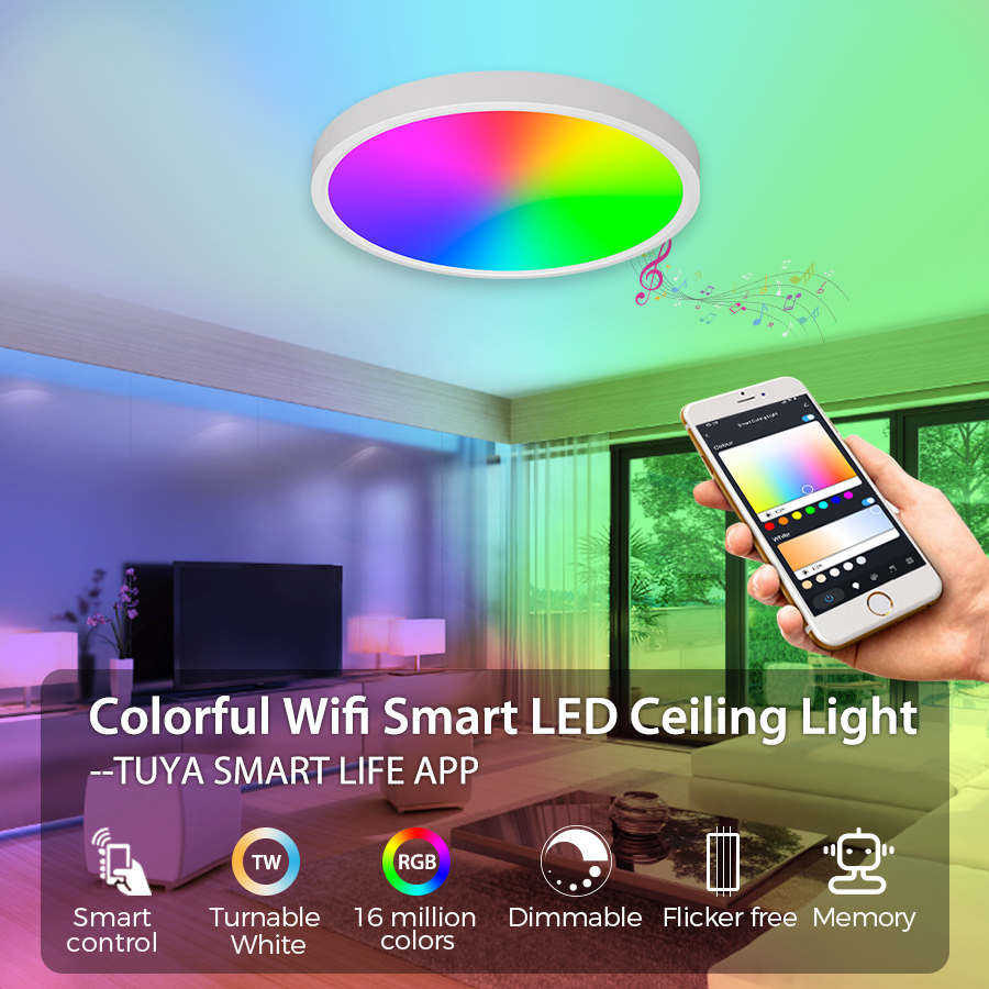 Smart Control Tuya APP Control 24W Round Ceiling Light Indoor Flush Mount Fixture for Living Room