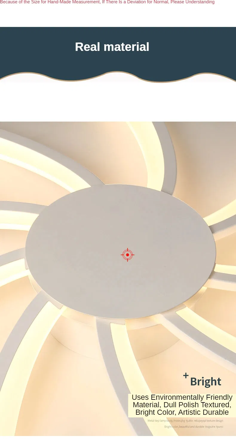 Modern Ceiling Lamp Light 11