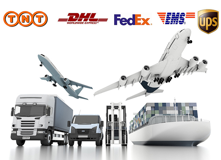 Packaging details and transportation logistics