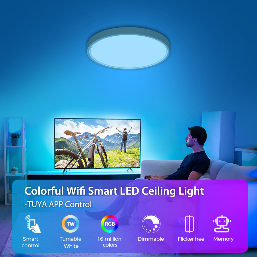 Smart LED Ceiling Light Features