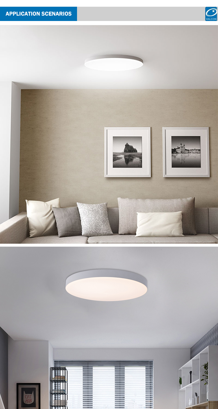 Customized Living Room Bedroom Dimmable Lighting Application