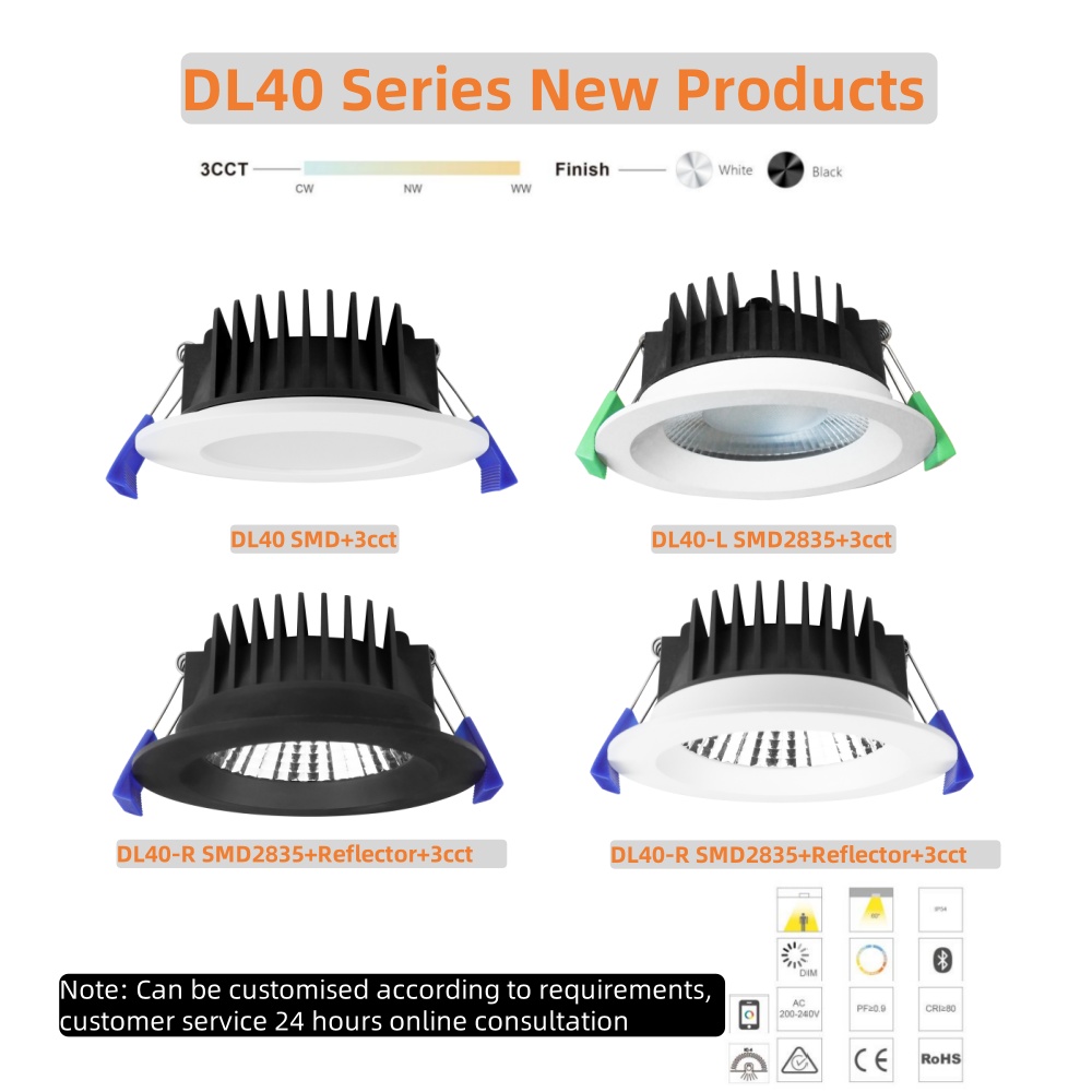 Ceiling Downlight Presentation 1