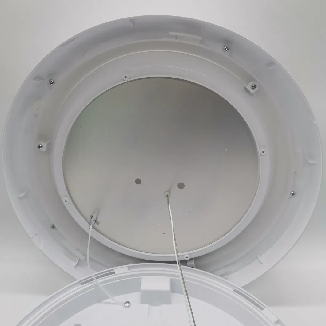 Inside View of LED Light 2