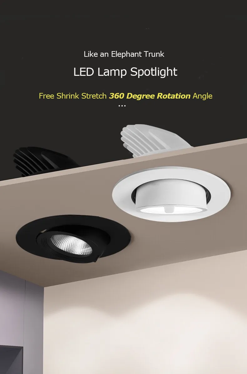 Adjustable Spotlight Structure
