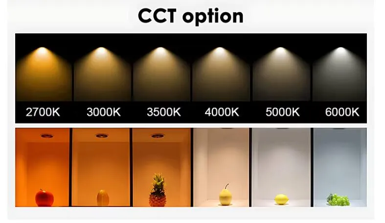 COB LED Gimbal Adjustable Recessed Downlight Warm White 20W 25W 30W 35W Trunk Light for Retail/Shop Aluminum Body with IP44 Rating