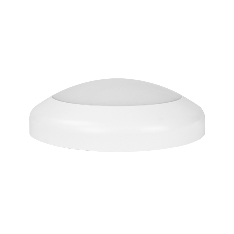 IP65 Outdoor LED Ceiling Light Hot Sale in French with Motion Sensor