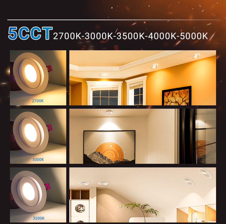 LED Detail 4