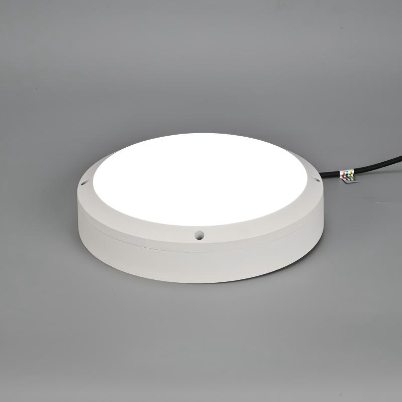 Energy-Efficient IP65 LED Ceiling Light with Motion Sensor