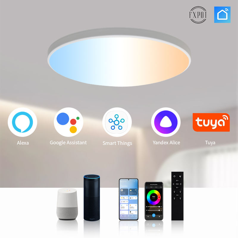 Modern 220V 24W RGB+CCT Smart Ceiling Lights High Quality Tuya Wifi LED Home Lamps with Remote Control for Bedroom Application