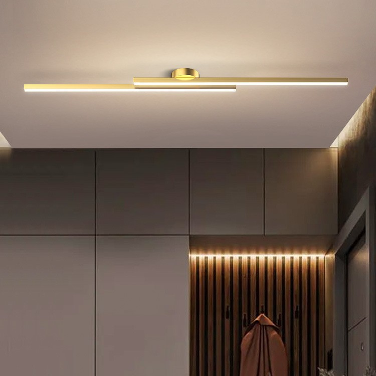 Nordic Linear Flush Mount LED Ceiling Light Remote AC Metal Construction 6000K Daylight for Closet Balcony Entryway Foyer