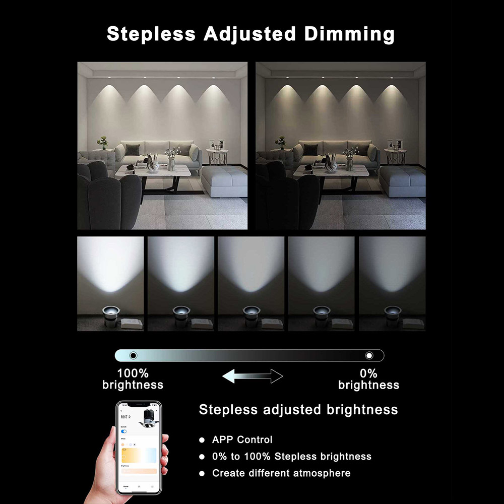 Tuya WiFi Zigbee Smart Home LED Ceiling Spotlight Modern Design 2-Channel Dimmer Zigbee LED Ceiling Light