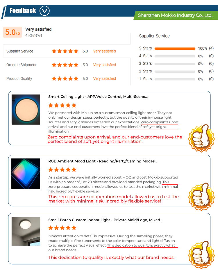 Ceiling Light Style 5