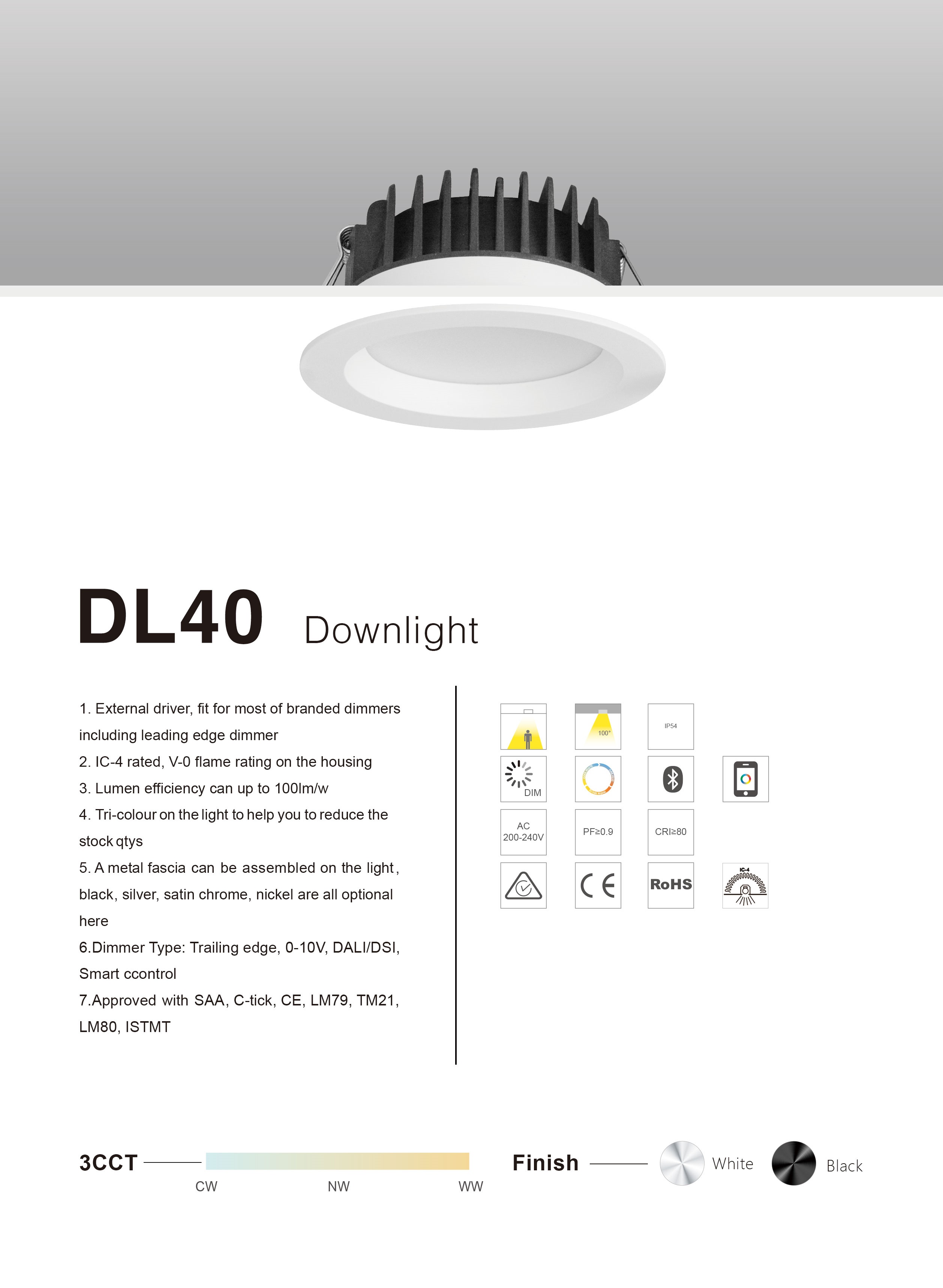 Ceiling Downlight Presentation 2