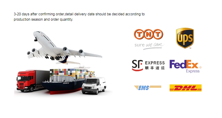 Package Structure