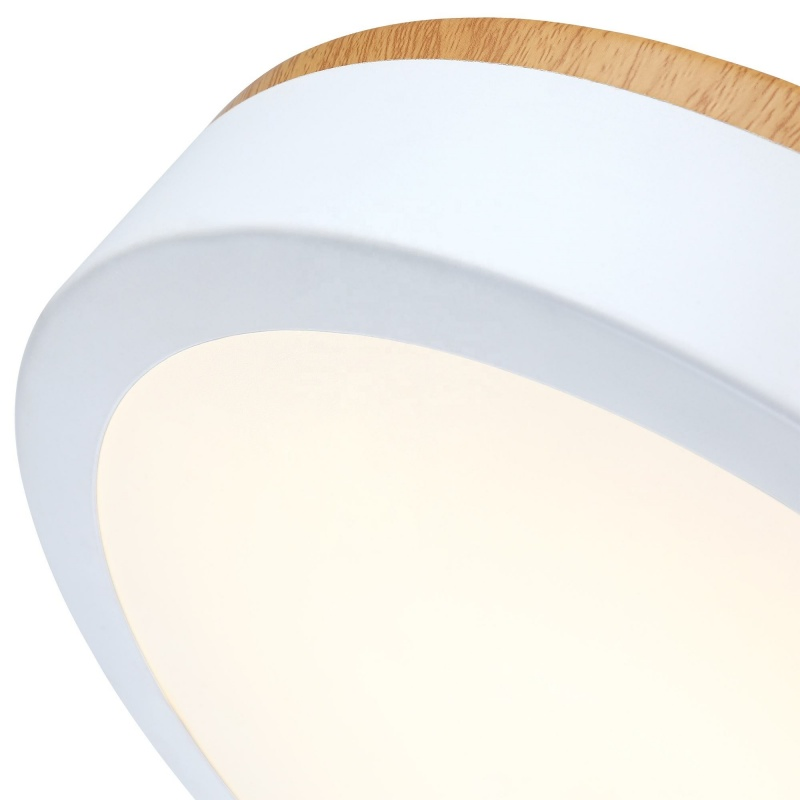 Rust Proof Ceiling Light Durable for Outdoor Canopy and Porch Lighting