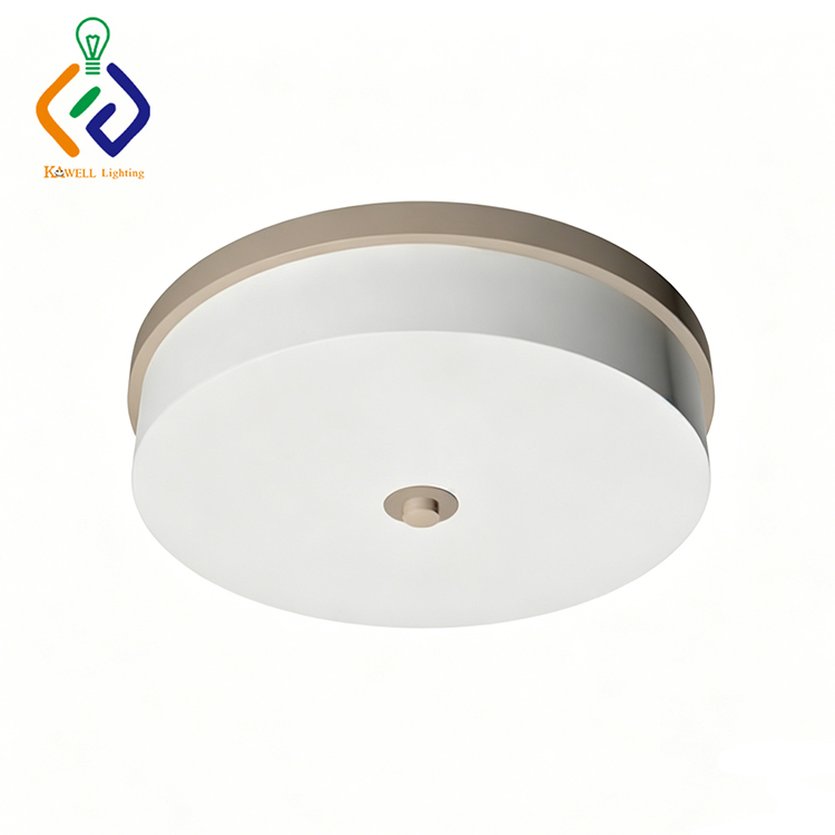 Mounted Bedroom Living Room Ceiling Lamp Light Round Hotel Home Microtel Inn &amp; Suites Semi-Flush Mounts Recessed Ceiling Light