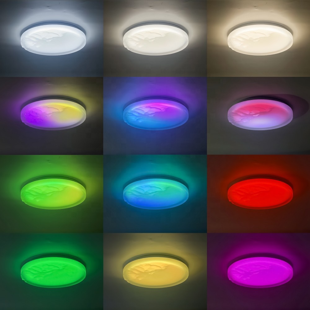 LED Ceiling Lights Smart Wifi Remote Control Dimmable Metal Acrylic Flush Mount Minimalist Indoor Lighting Decoration Modern
