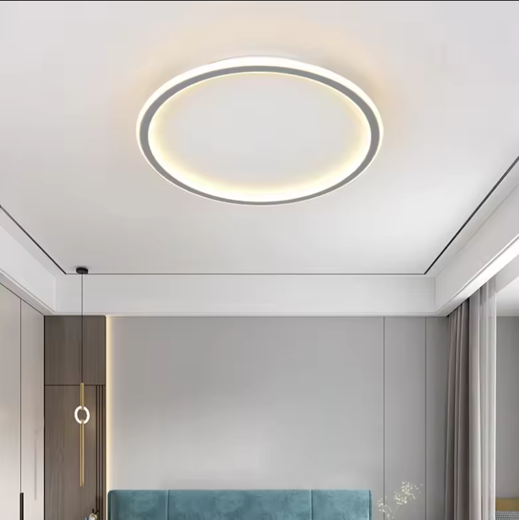 Zeal Lighting Ultra Thin Led Flush Mount Light Bedroom Modern Design Acrylic Round Ceiling Lamps For Bedroom