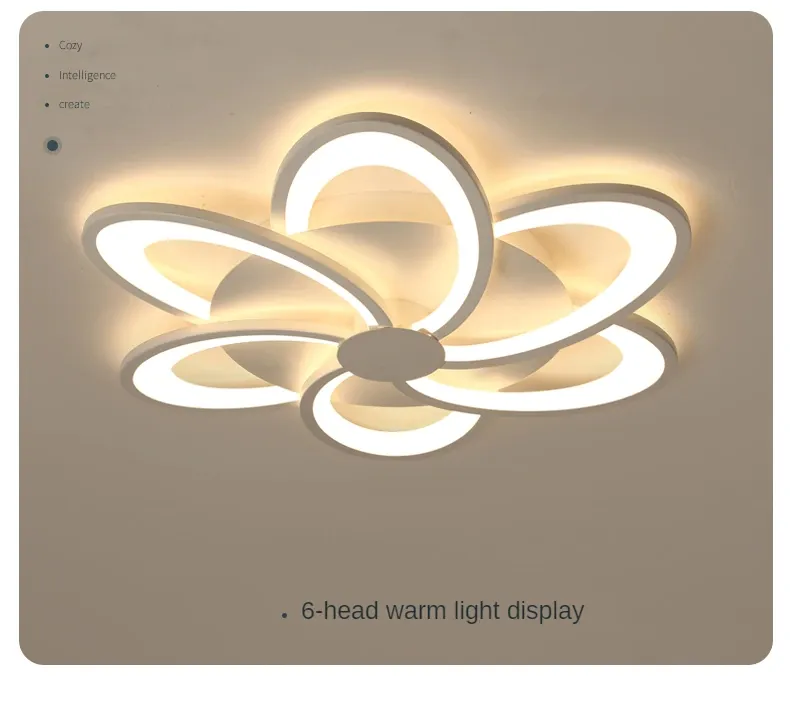 Modern Ceiling Lamp Light 8