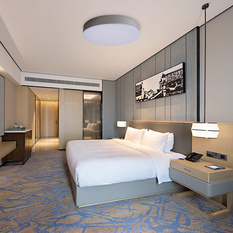 Lampara De Techo Semi Flush Mount LED Hotel Bedroom Modern Simple Style Ceiling Light