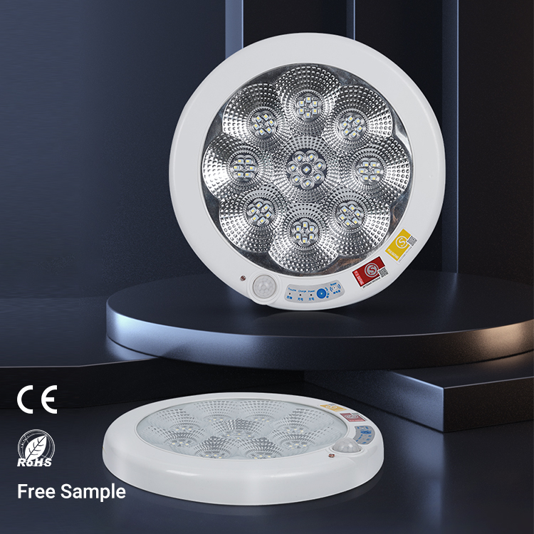 Factory Direct Sale Indoor Hotel Plastic Downlight Recessed Mounted Fireproof Led Emergency Ceiling Light