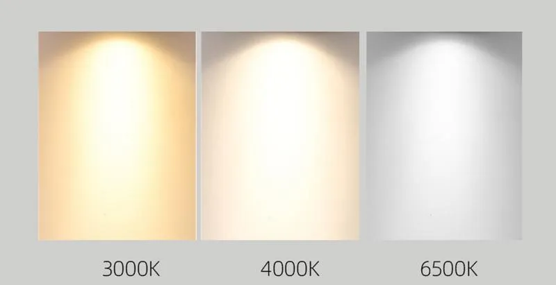 LED Down Light Detail 8