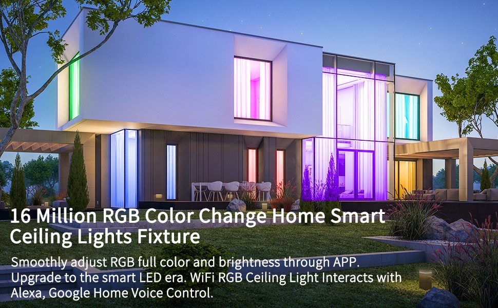 Modern Acrylic Tuya Smart RGBCW Ceiling Light