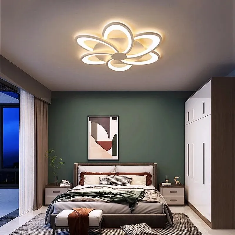 Modern Ceiling Lamp Light 1