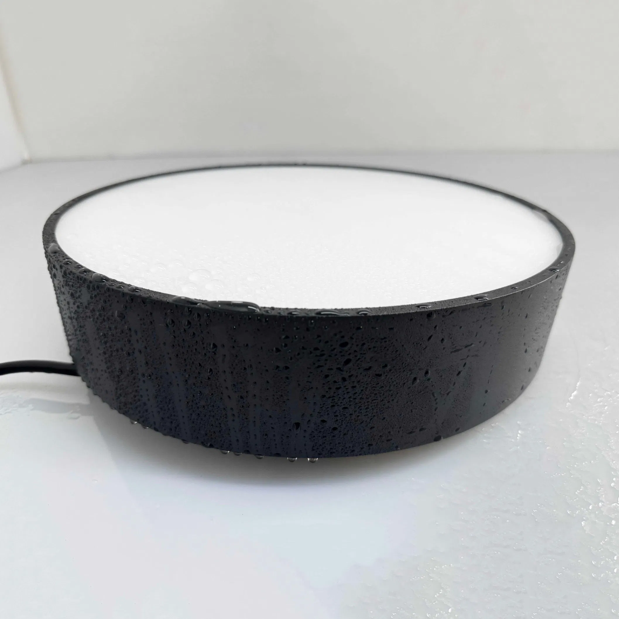 IP65 Waterproof Suspended Recessed Mounted LED Round Ceiling Light for Bathroom Balcony