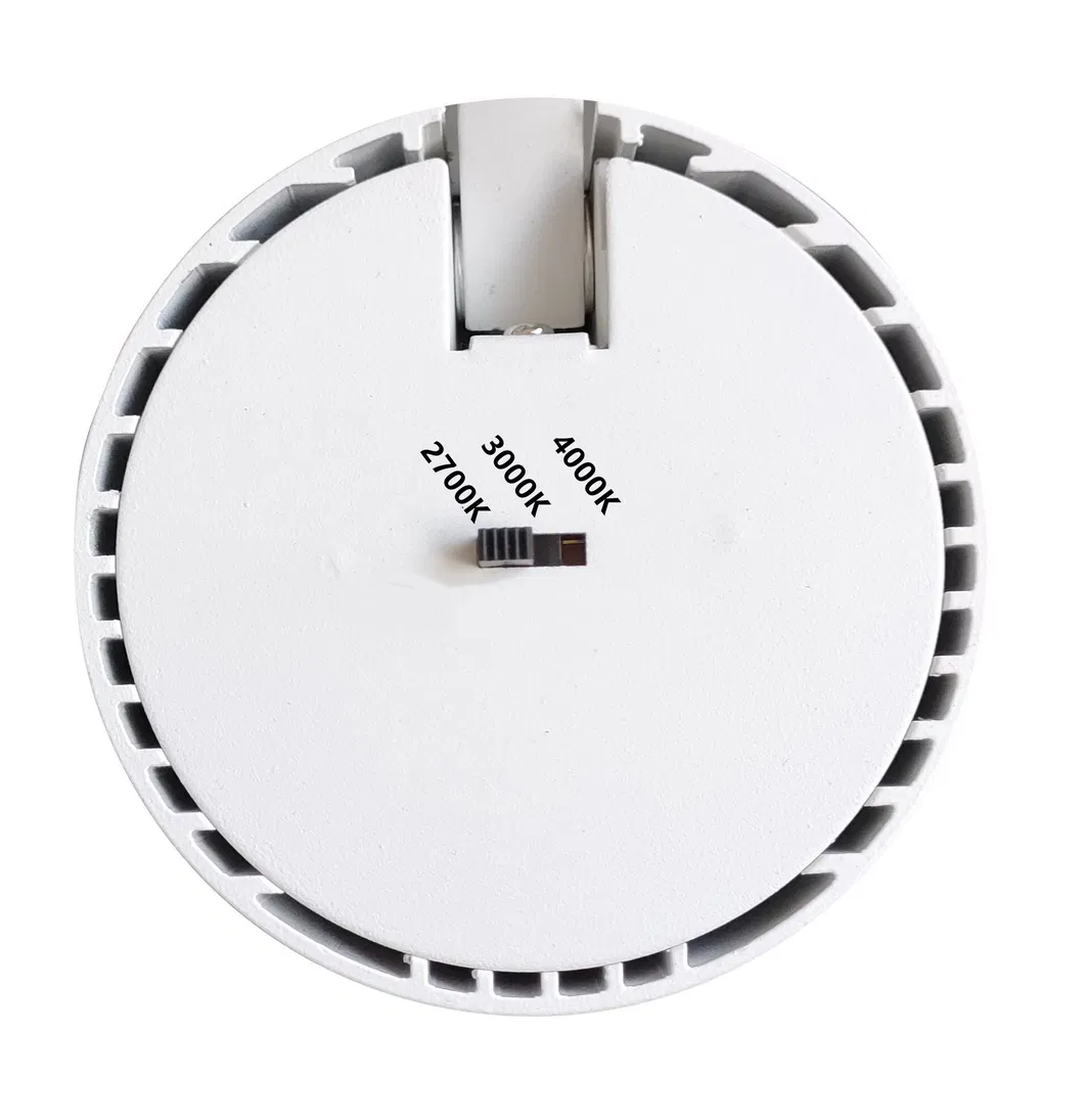 Recessed LED Light Waterproof IP65 LED Lighting COB LED Downlight for Outdoor Bathroom