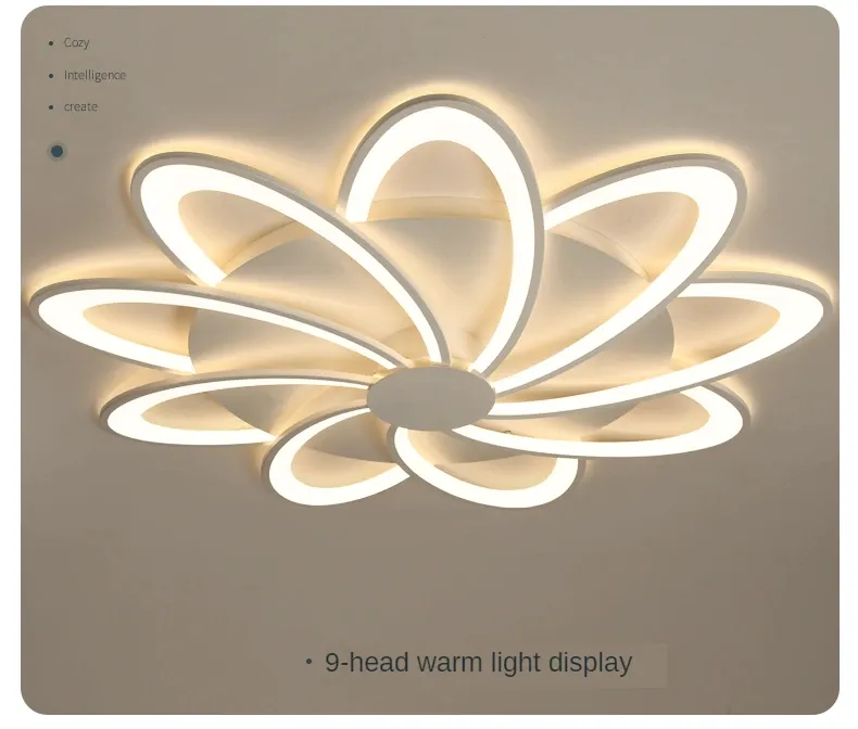 Modern Ceiling Lamp Light 7