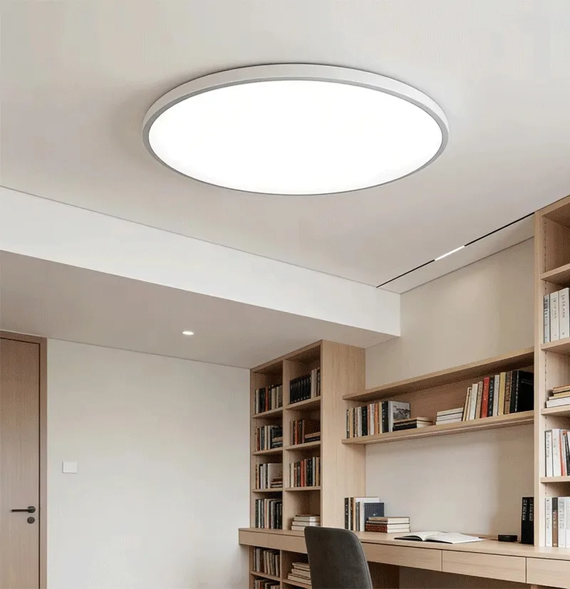 Rust Proof Ceiling Light Durable for Outdoor Canopy and Porch Lighting