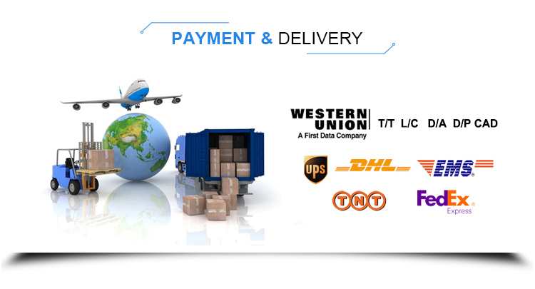 Shipping details map