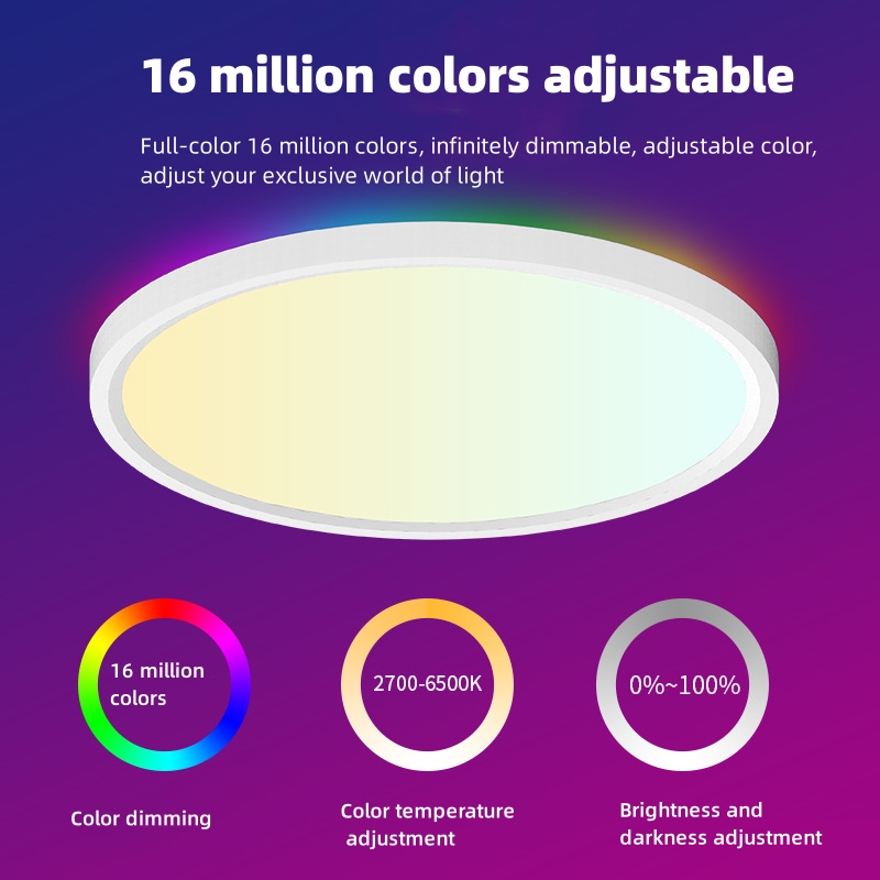 Ultra Slim RGBIC RGB+CCT Tuya WiFi ZigBee Smart LED Ceiling Light 24W AC100V AC240V CE SAA Approved Home Living Room Led light