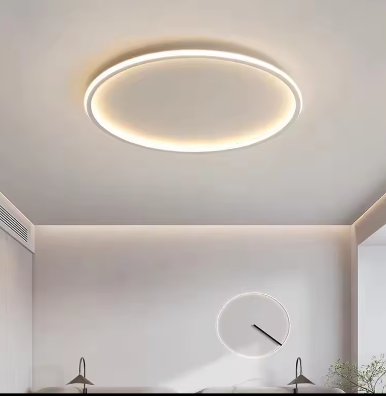 Zeal Lighting Ultra Thin Led Flush Mount Light Bedroom Modern Design Acrylic Round Ceiling Lamps For Bedroom