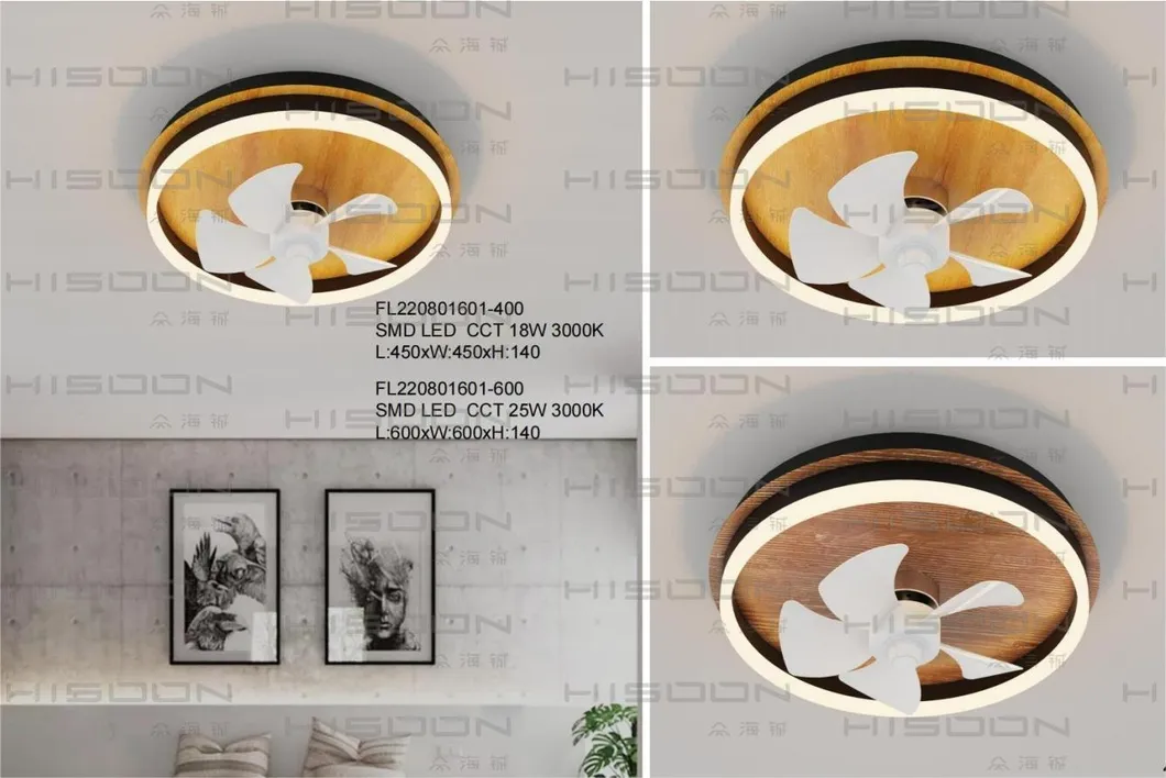 Decorative Light Collection