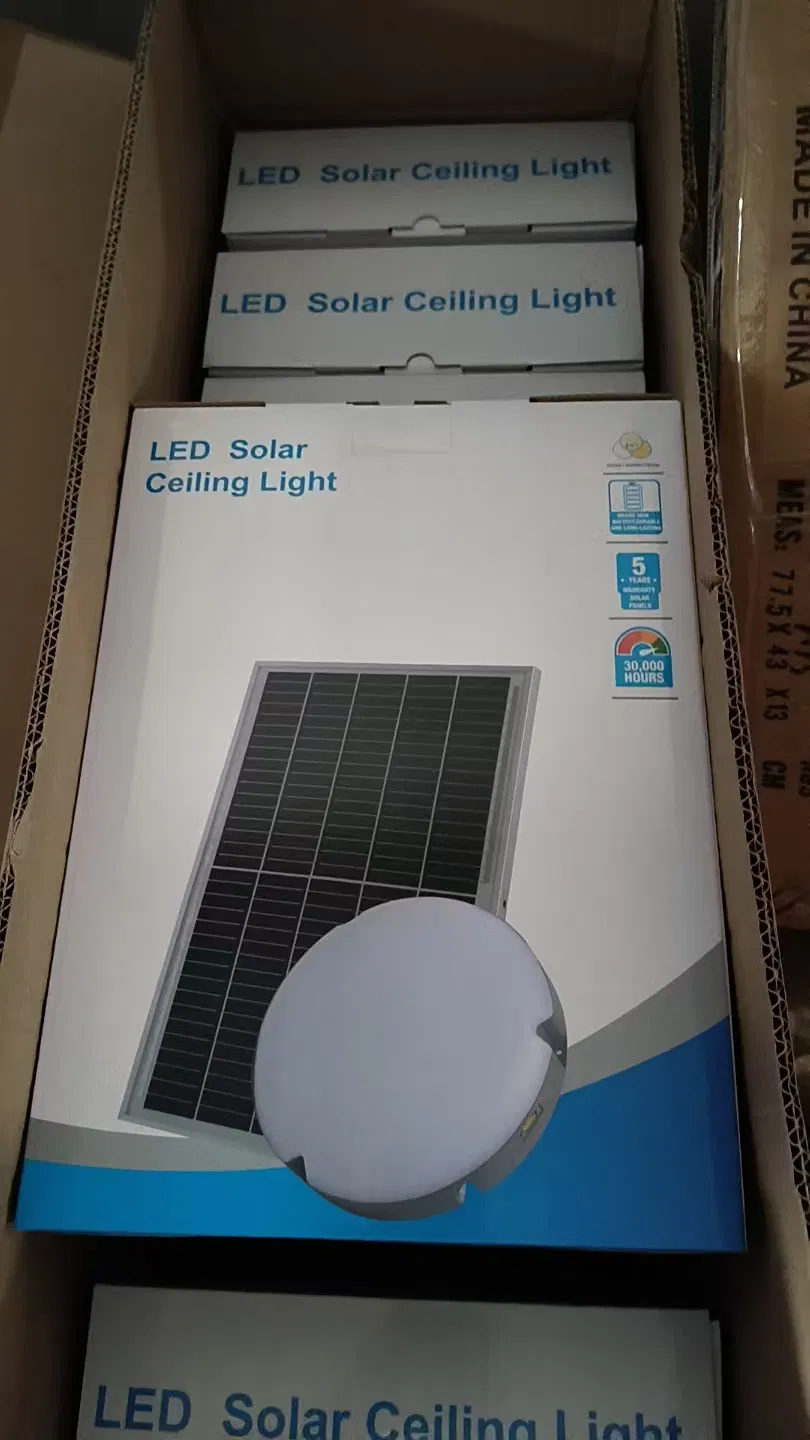 Ceiling light production line