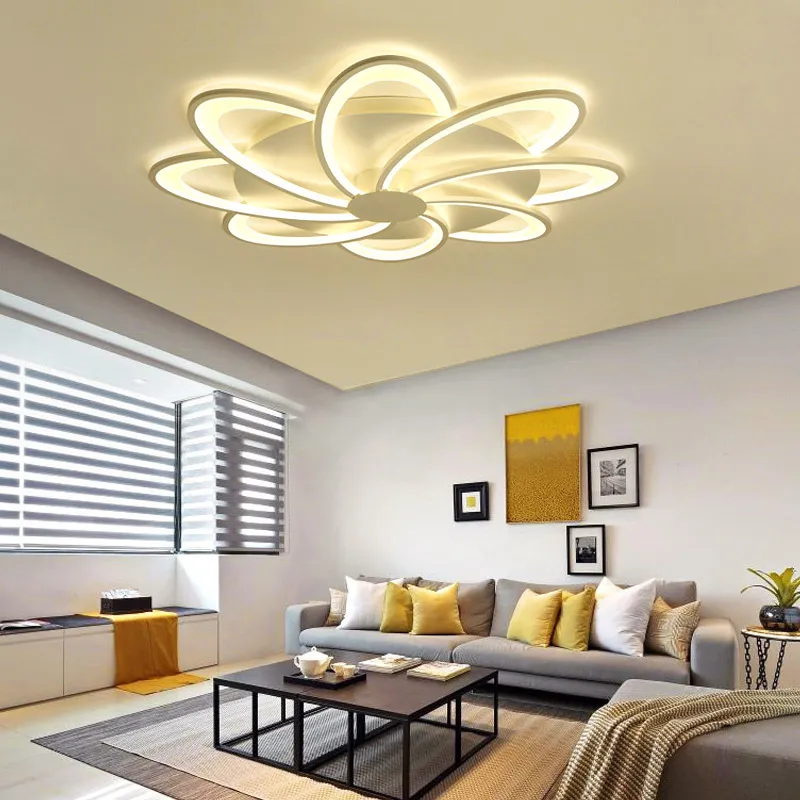 Modern Ceiling Lamp Light 3