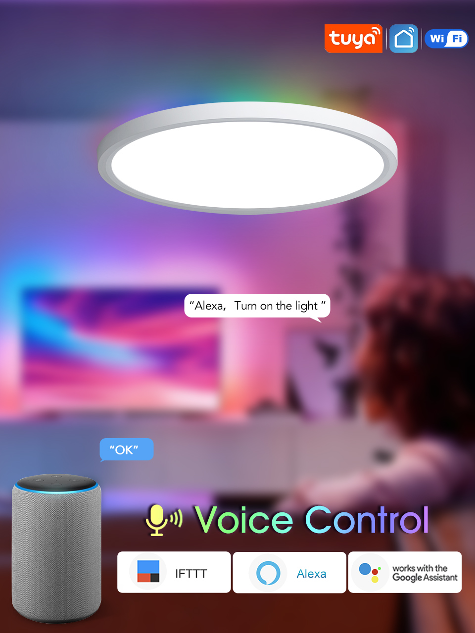 Product Description 4