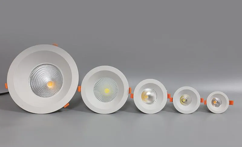 LED Down Light Detail 2