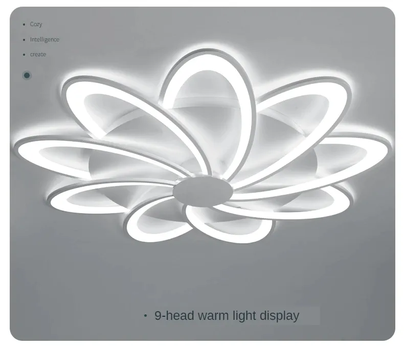 Modern Ceiling Lamp Light 9