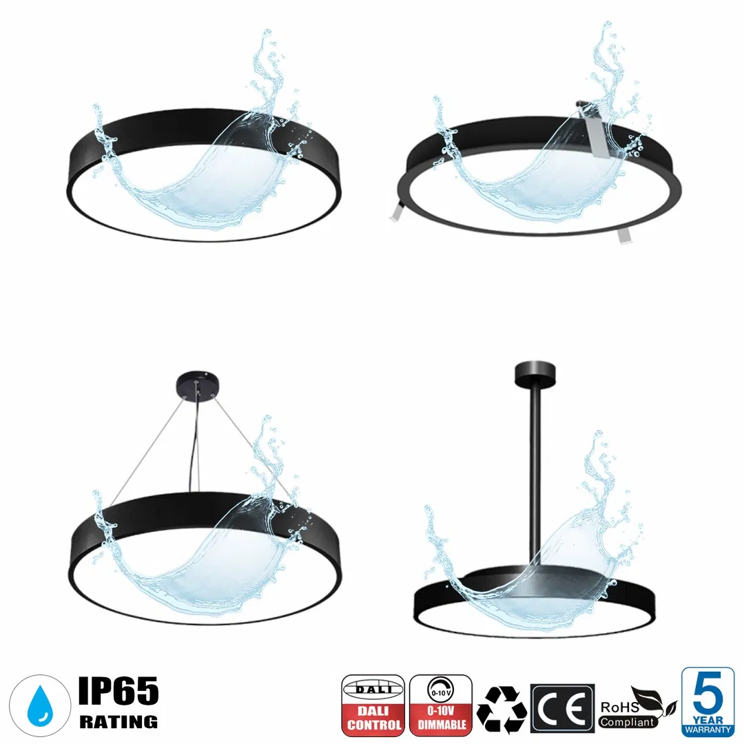 IP65 Waterproof Suspended Recessed Mounted LED Round Ceiling Light for Bathroom Balcony