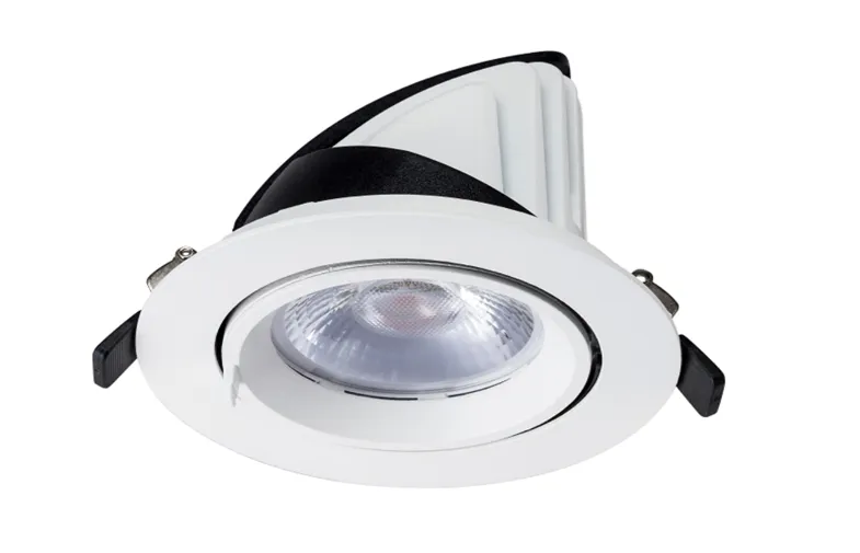 COB LED Gimbal Adjustable Recessed Downlight Warm White 20W 25W 30W 35W Trunk Light for Retail/Shop Aluminum Body with IP44 Rating