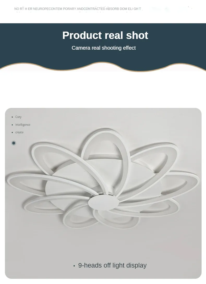 Modern Ceiling Lamp Light 6