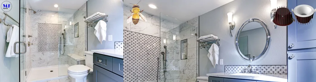Residential Application LED Down Light