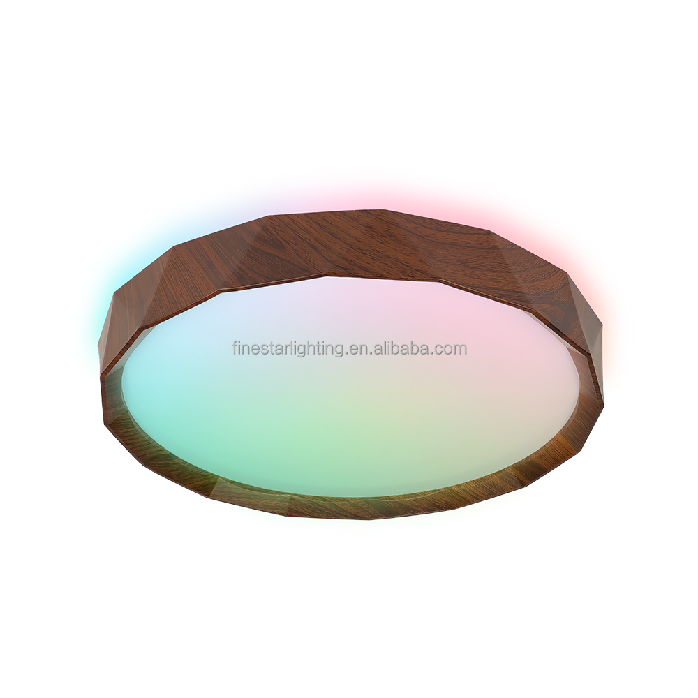 Smart Ceiling Light Feature