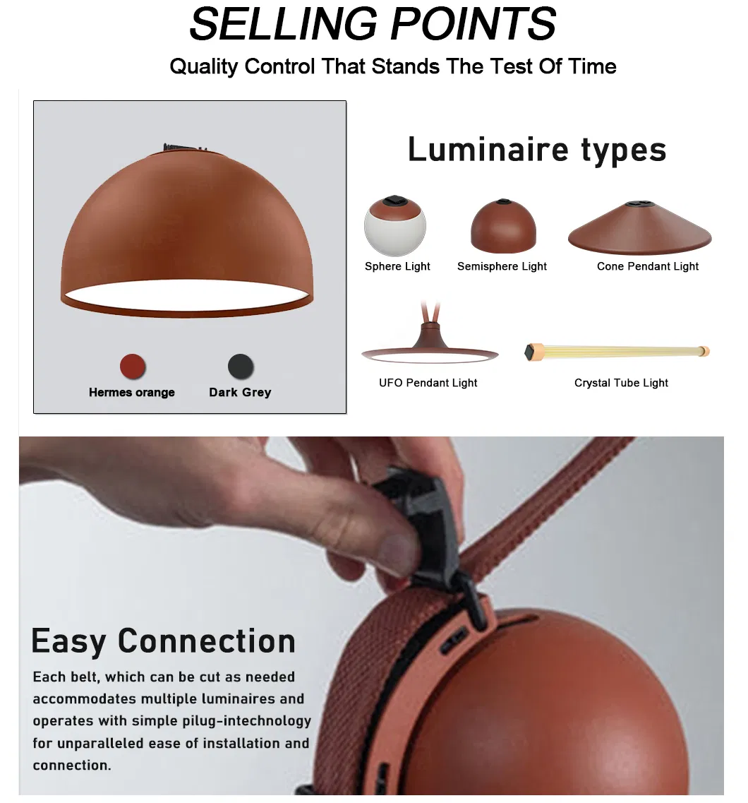 Modern Minimalist LED Pendant Lamp details