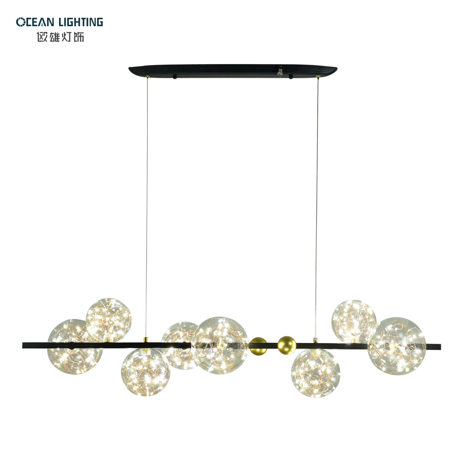 Ocean Lighting Minimalist Simple Modern Black Metal LED Ceiling Lamp Living Room